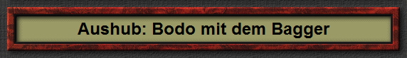 Aushub: Bodo mit dem Bagger